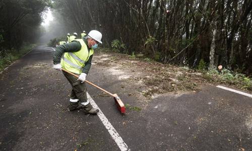 Imagen de El Cabildo inicia los trabajos para la retirada de material combustible en los márgenes de la GM-2